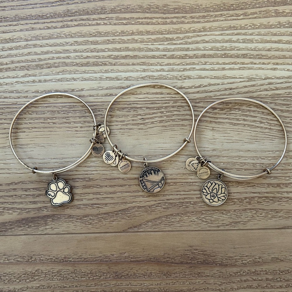 Alex and Ani Charm Bracelets